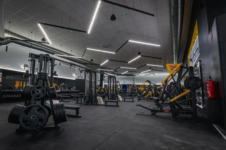 zona maquinaria gimnasio enforma gyms